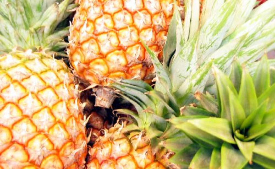Ananas Ananas