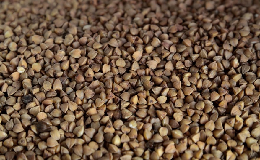 Pohanka