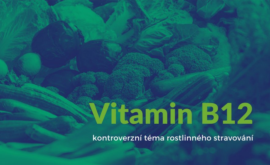 Vitamín B12 Vitamín B12