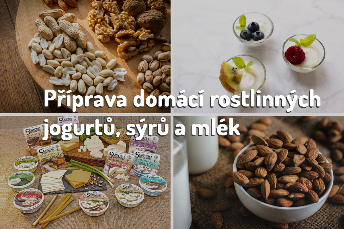 Domácí mléka, sýry, jogurty z ořechů, semínek a obilovin