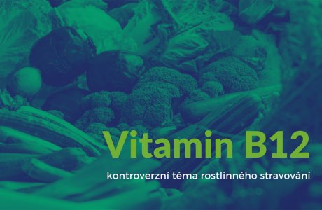 Vitamín B12