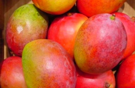 Mango