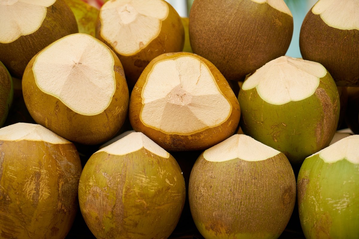 Mladý kokos