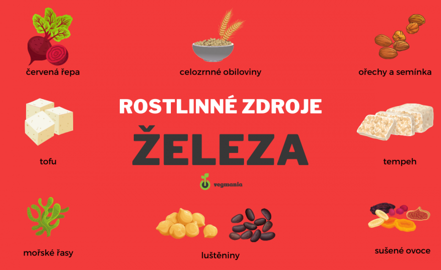 rostlinné zdroje železa