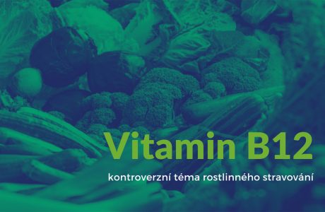 Vitamín B12