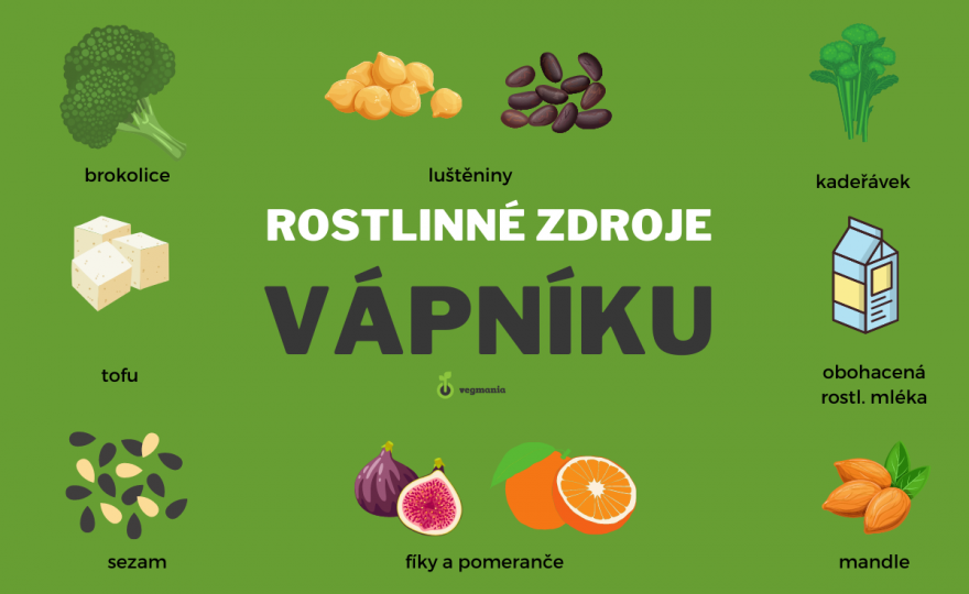 rostlinné zdroje vápníku