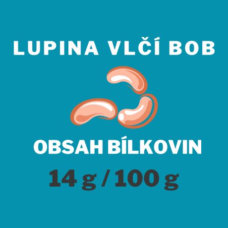 Lupina