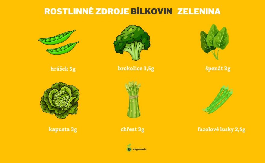 bílkoviny v zelenině